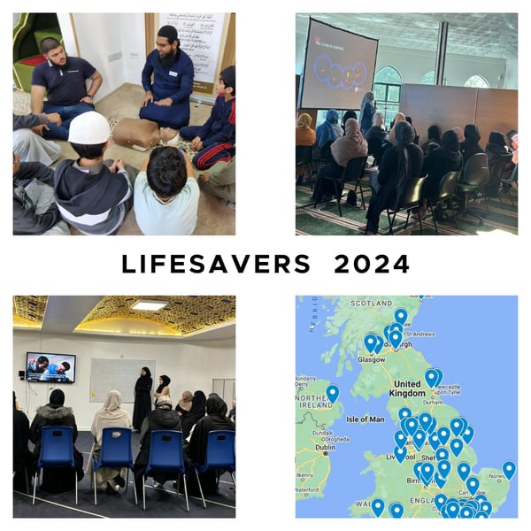 September 2024 Newsletter Visuals