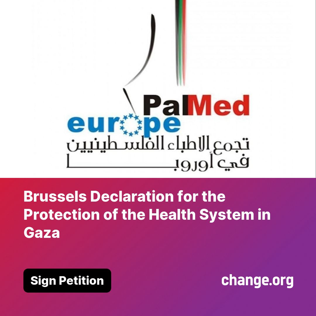 WhatsApp Image 2025-09-03 at 17.42.06